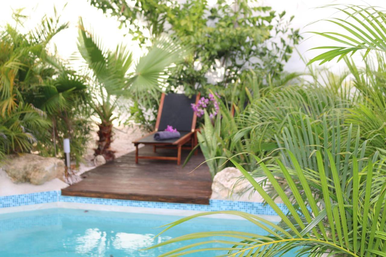 New House Tropic Paradise With Pool Willemstad Exterior foto