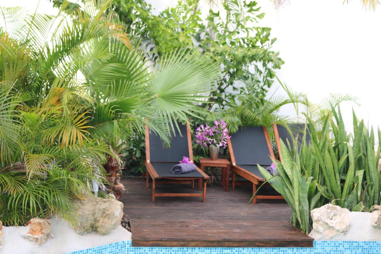 New House Tropic Paradise With Pool Willemstad Exterior foto