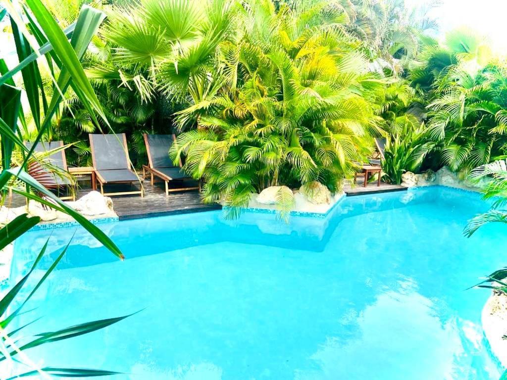 New House Tropic Paradise With Pool Willemstad Exterior foto